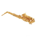 E Flat Alto Saxophone Set H897762