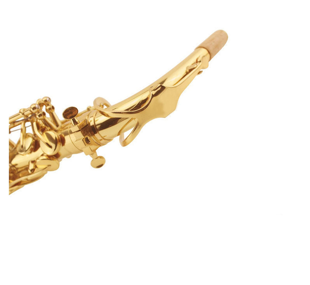 E Flat Alto Saxophone Set H897762