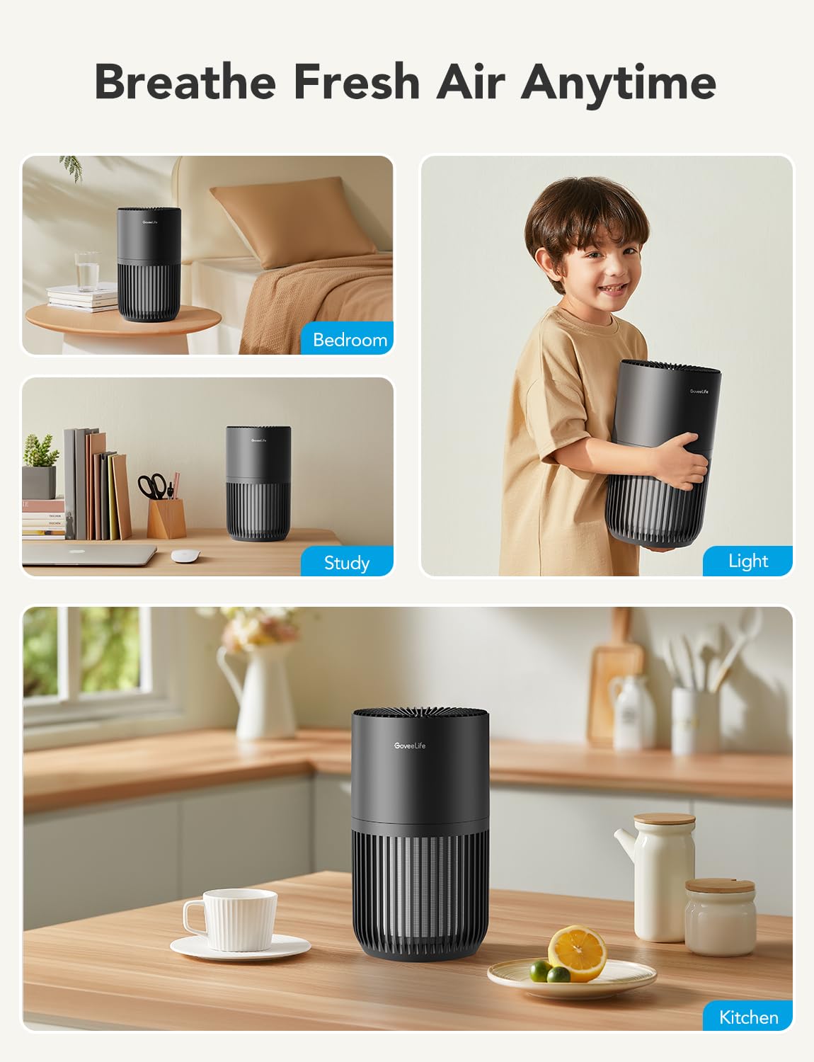 Dehumidifier with Mini Air Purifier T3054