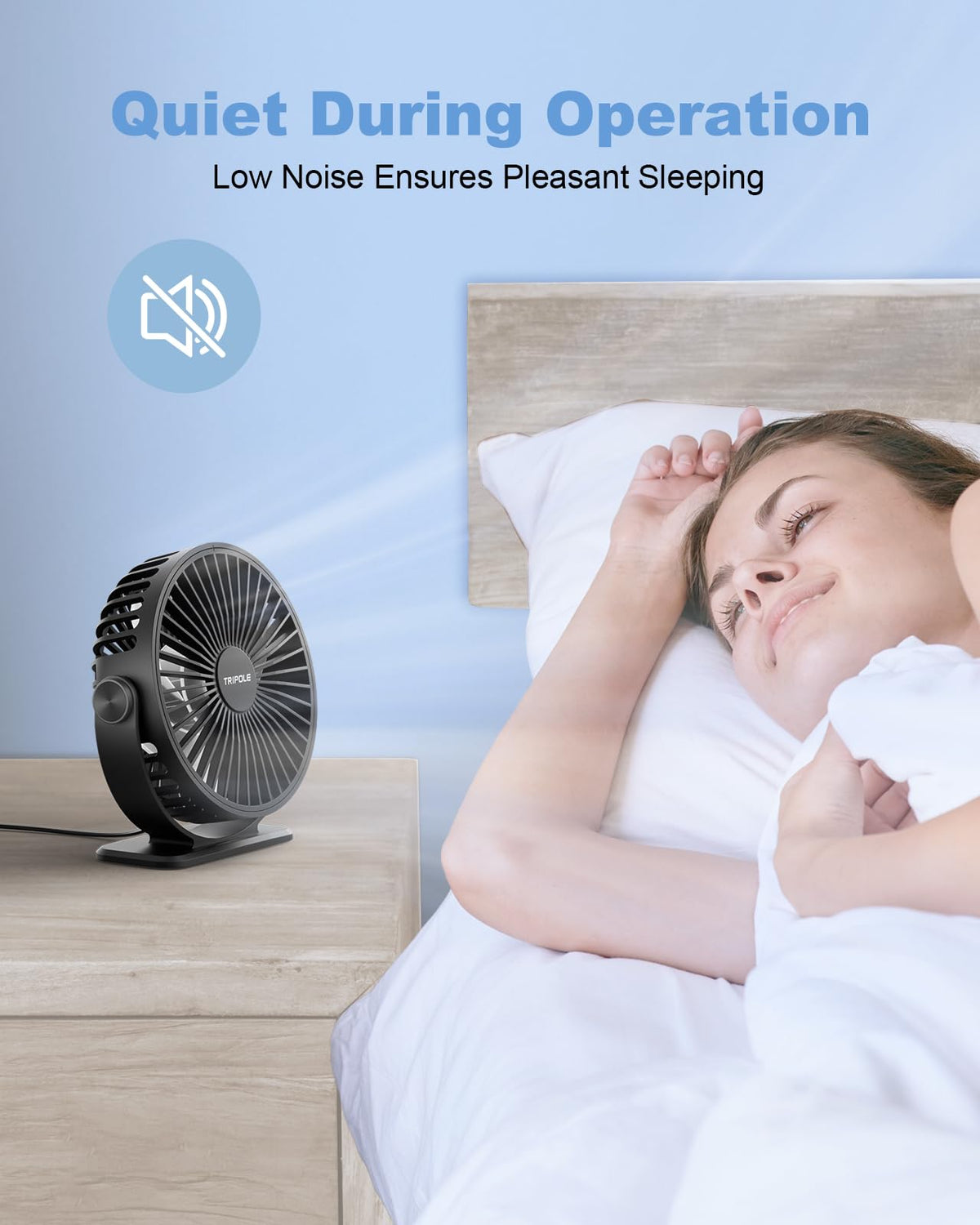 Black 2 Pack USB Powered Mini Desk Fan Q229