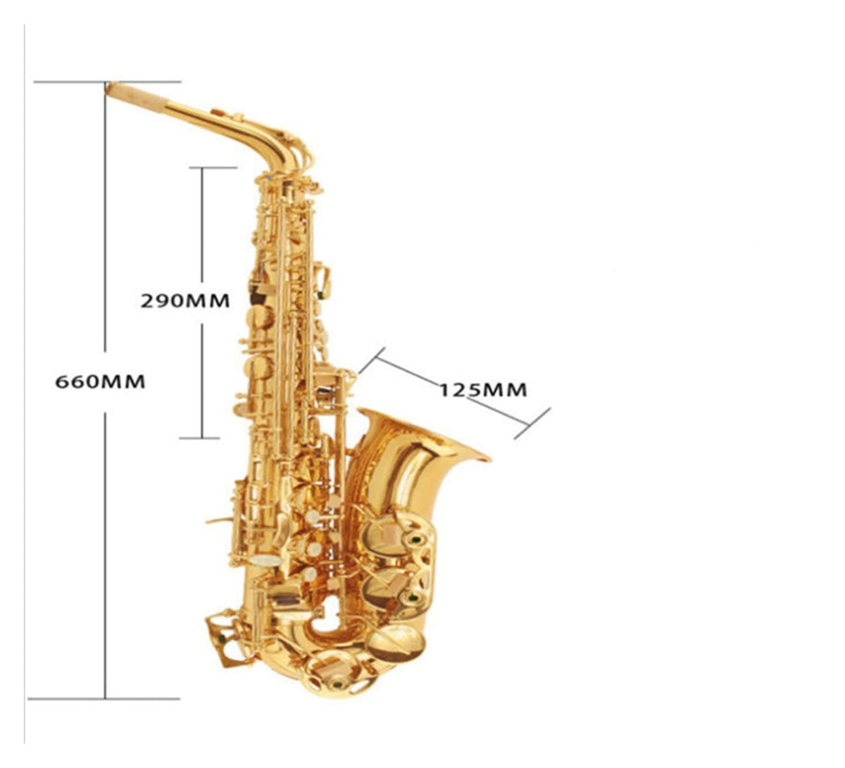E Flat Alto Saxophone Set H897762