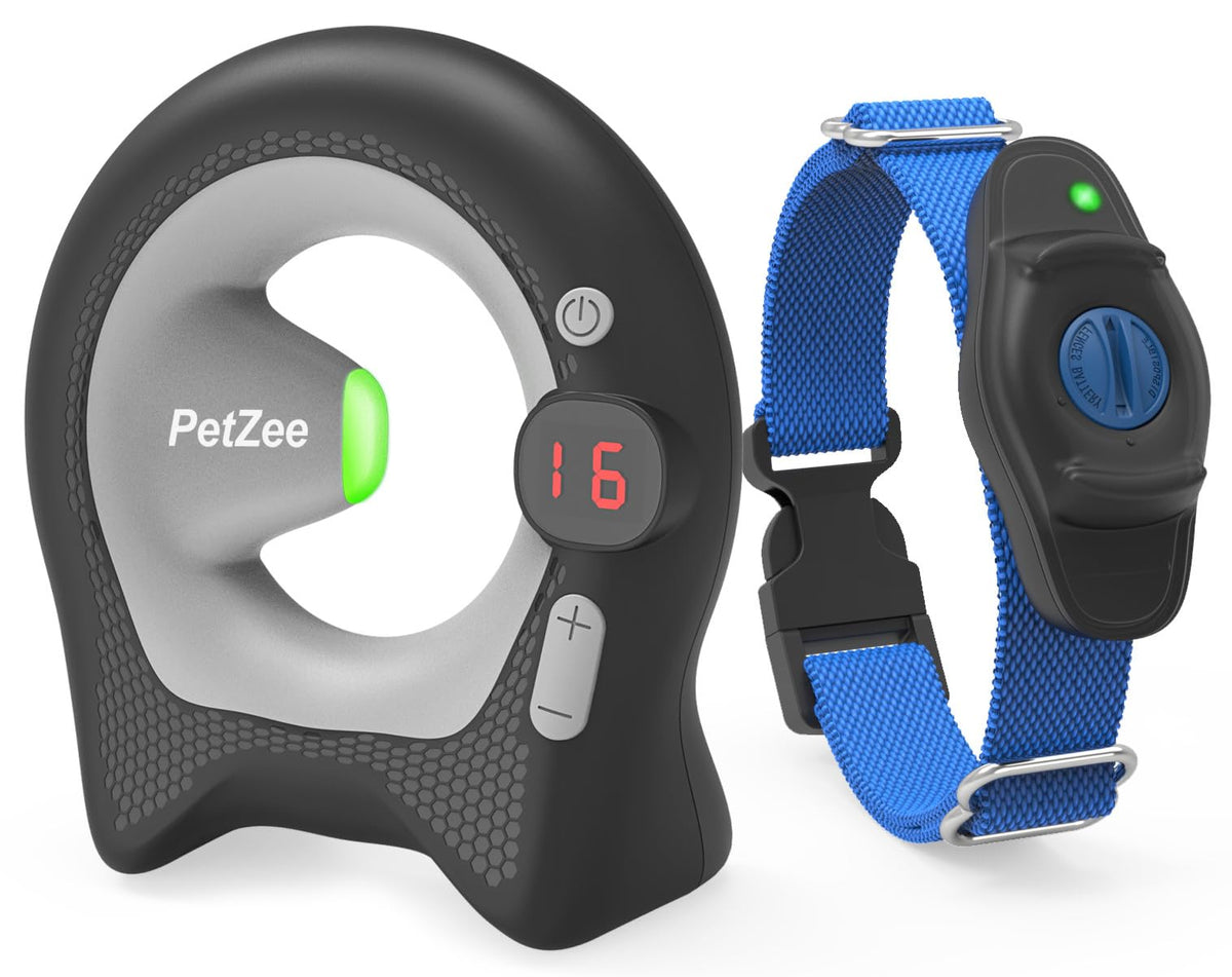 Wireless Dog Fence System with Transmitter and Receiver M356419