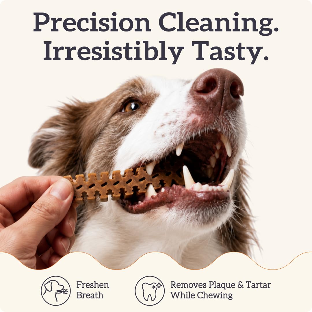 Large Dog Dental Chews, 25-50 lbs, 27Ct R538