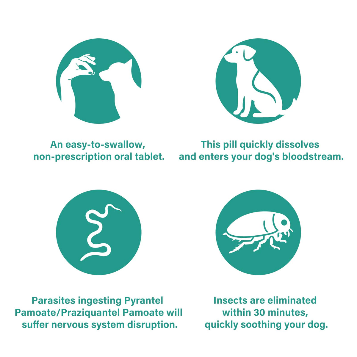 Large Dog & Puppy Oral Worm Remover 50 Tablets Z840