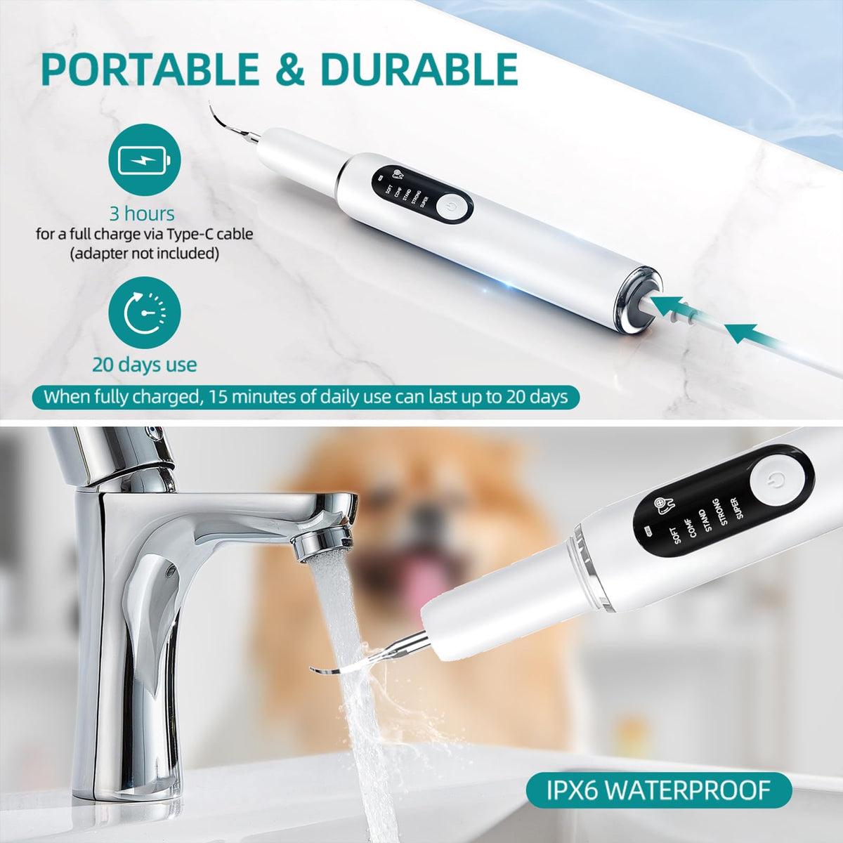 Dog Plaque Remover with LED Light Electric Toothbrush X31878