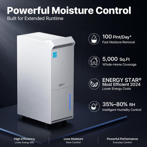 100 Pint/Day Dehumidifier Y61965