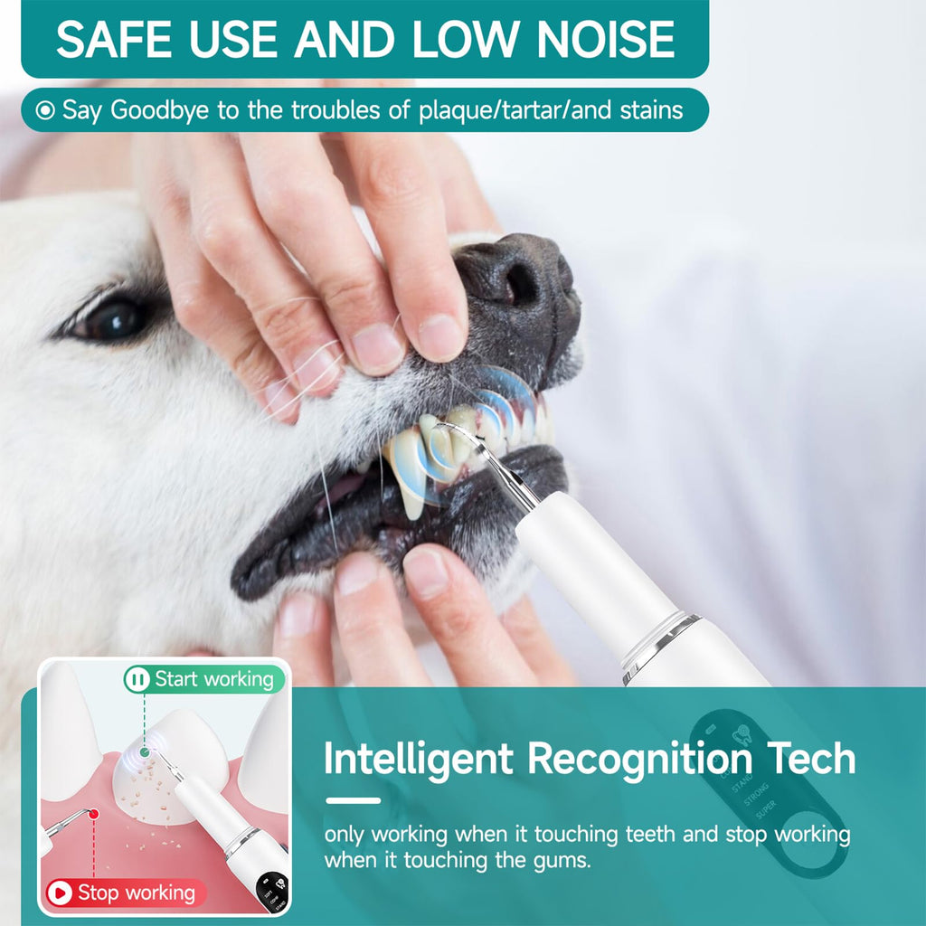 Dog Plaque Remover with LED Light Electric Toothbrush X31878