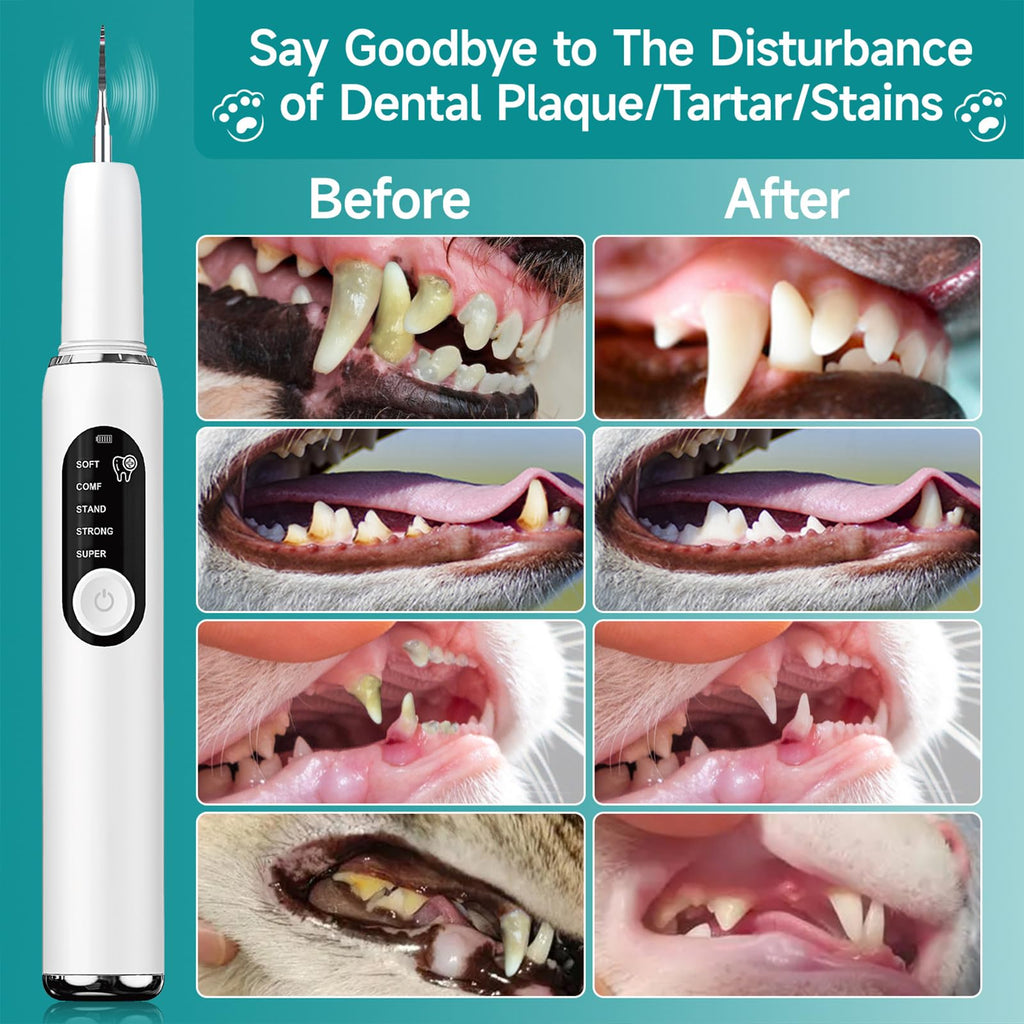 Dog Plaque Remover with LED Light Electric Toothbrush X31878