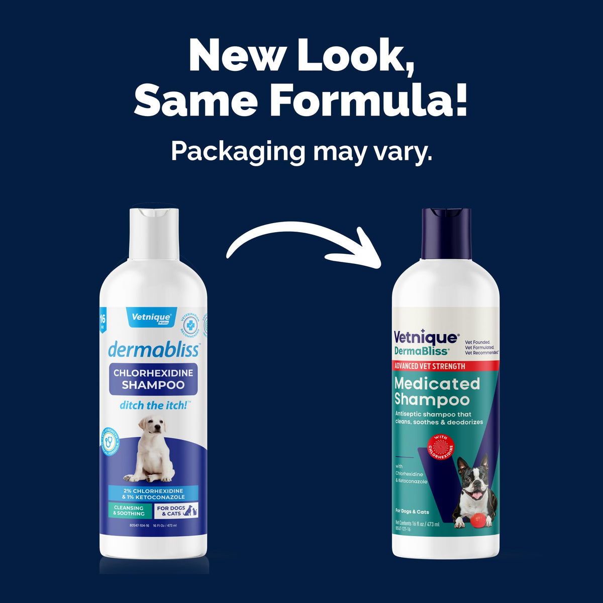 Medicated Cat & Dog Shampoo F702291