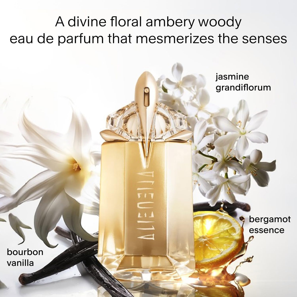 Floral Eau de Parfum X65273