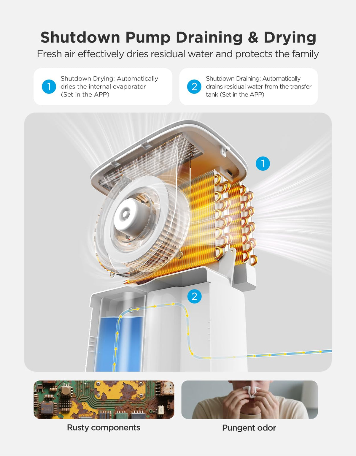 Dehumidifier with Mini Air Purifier T3054
