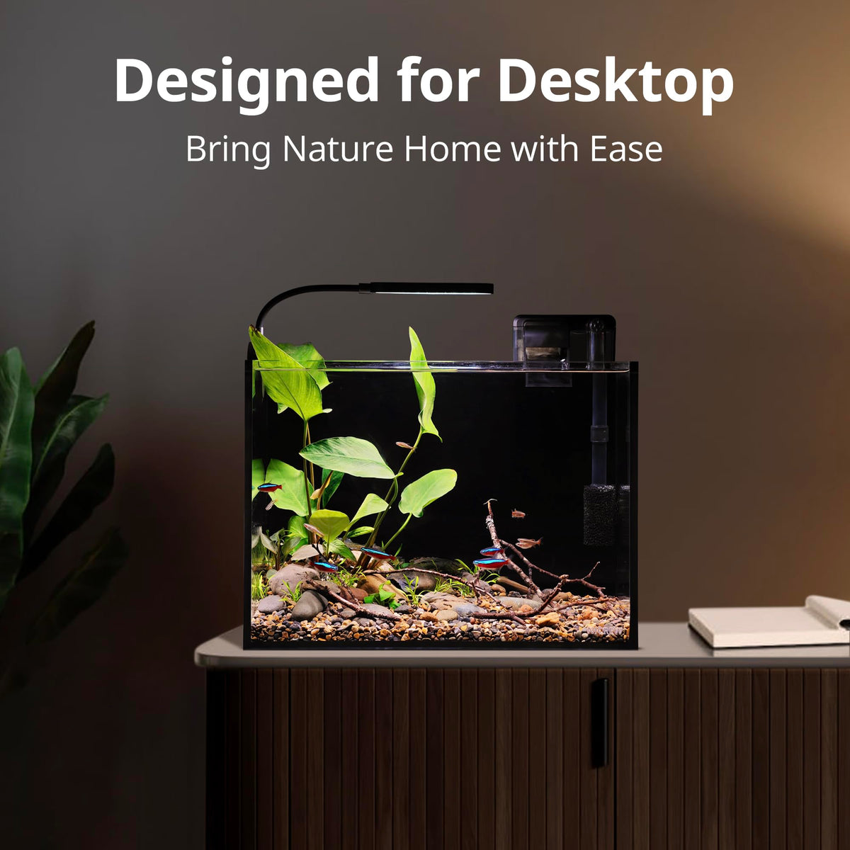 2.5 Gallon Aquarium Kit S288021