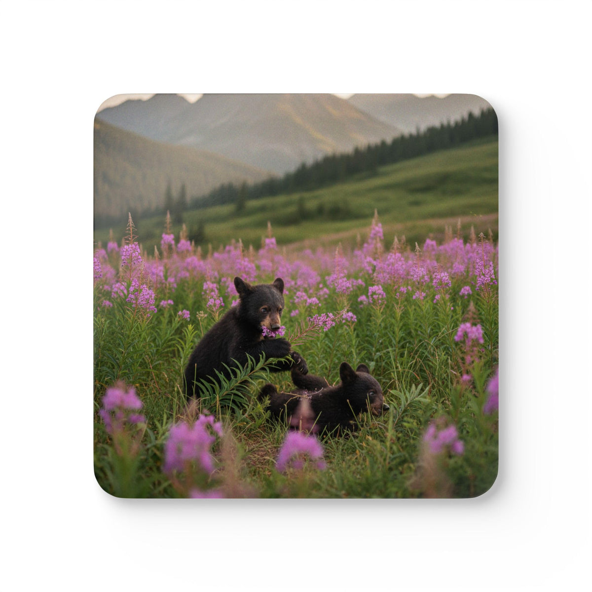 Set of 4 Coasters V996