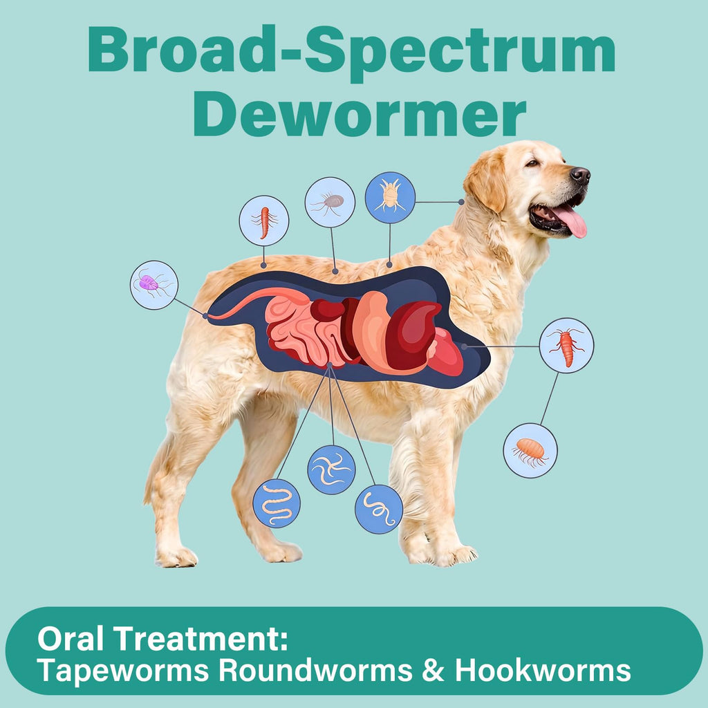 Large Dog & Puppy Oral Worm Remover 50 Tablets Z840