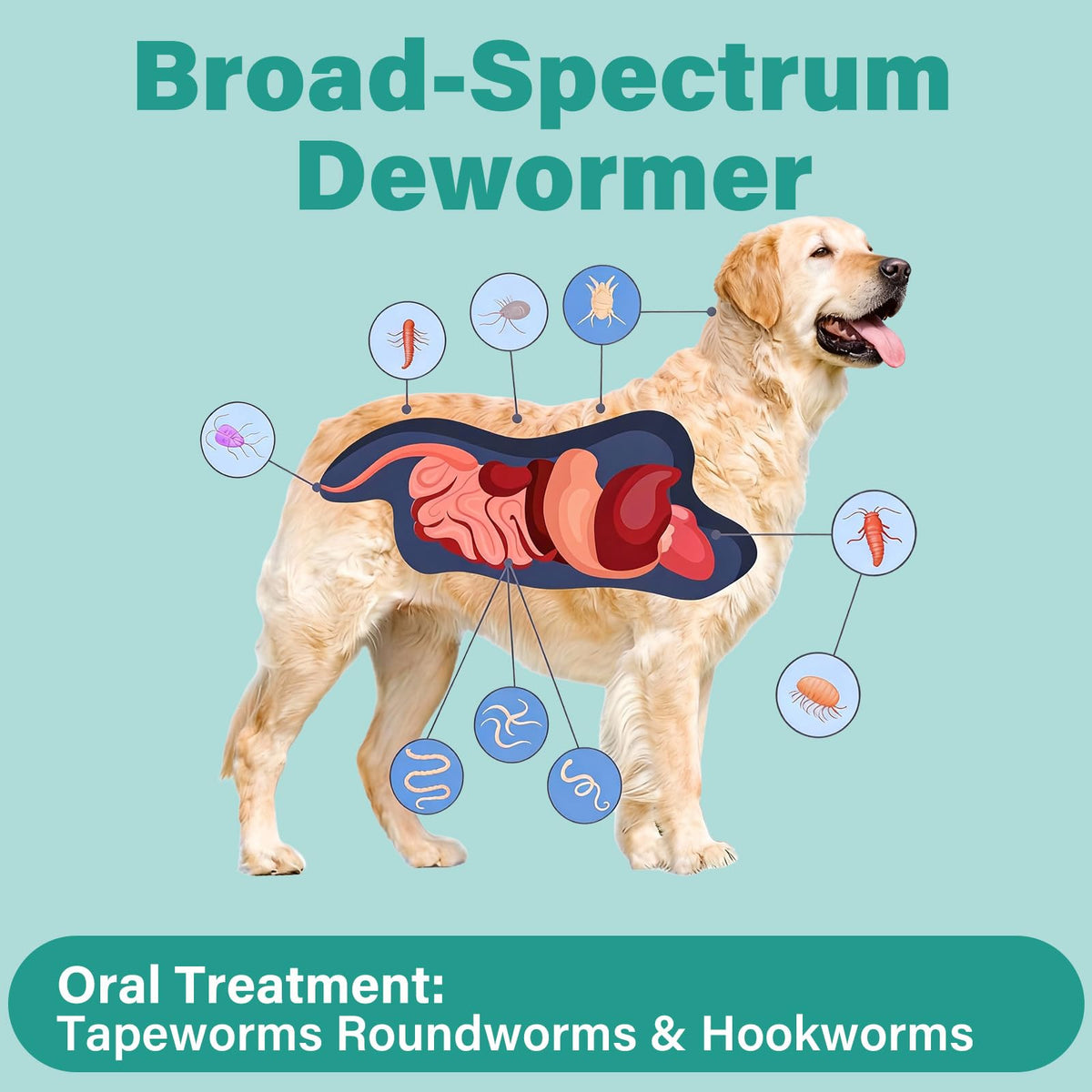 Large Dog & Puppy Oral Worm Remover 50 Tablets Z840