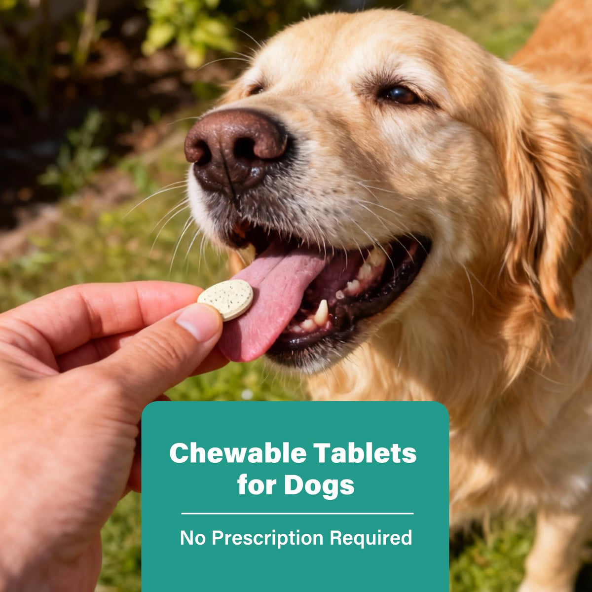 Large Dog & Puppy Oral Worm Remover 50 Tablets Z840