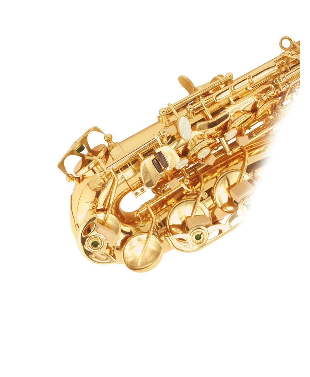 E Flat Alto Saxophone Set H897762