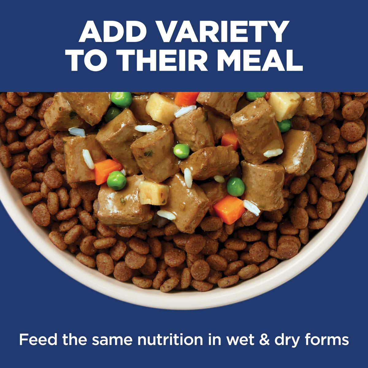 Sensitive Stomach & Skin Small Bites Dry Dog Food F291