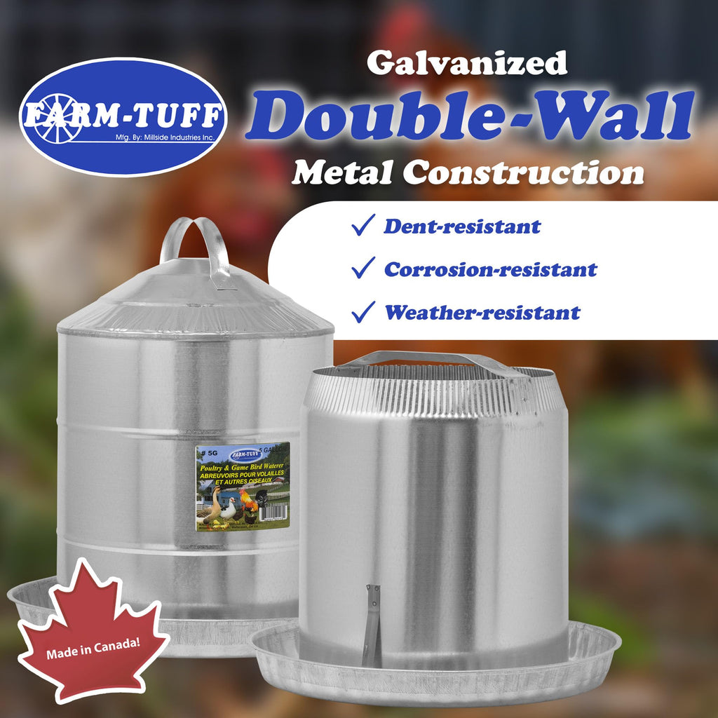 Galvanized 5 Gallon Poultry Waterer Y12597