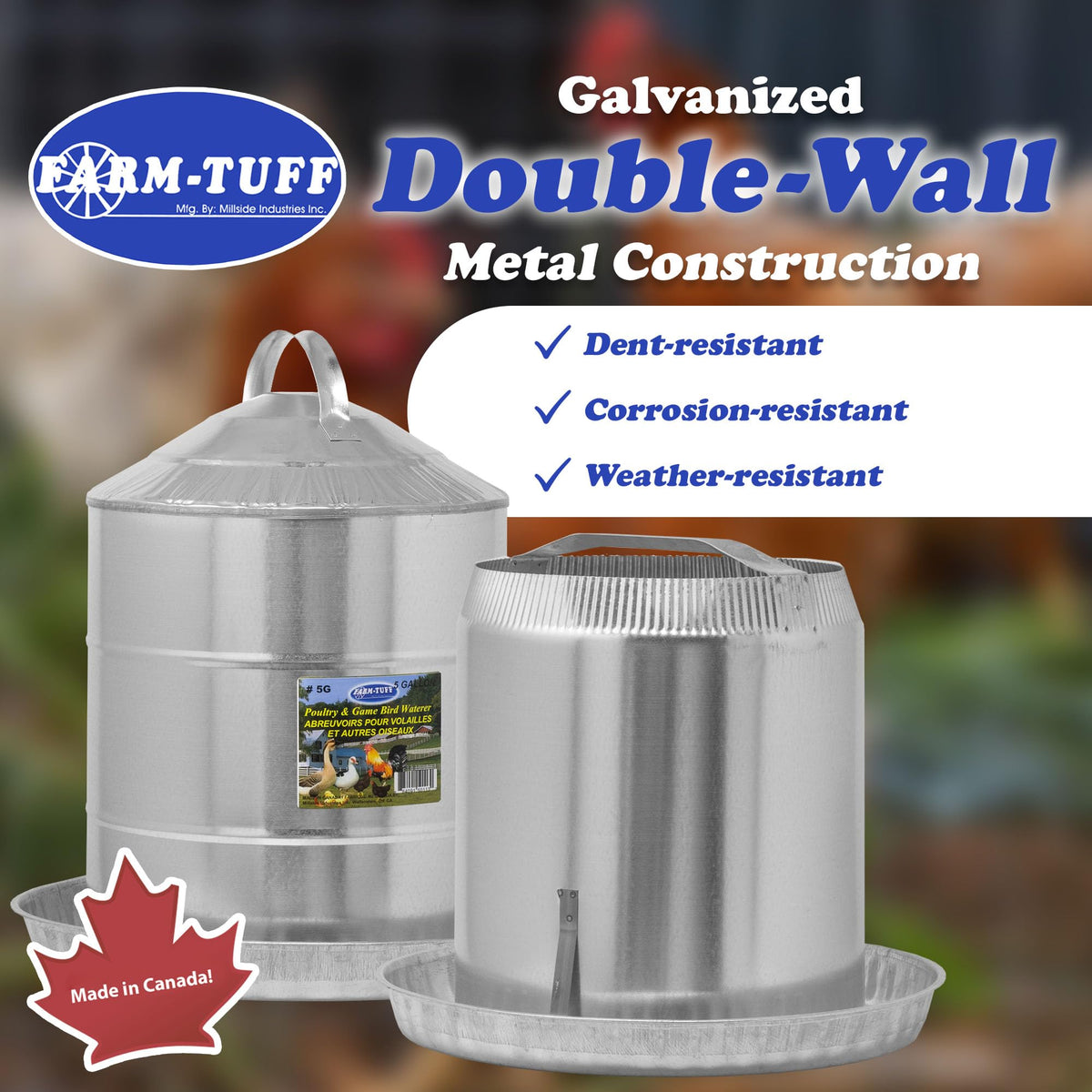 Galvanized 5 Gallon Poultry Waterer Y12597