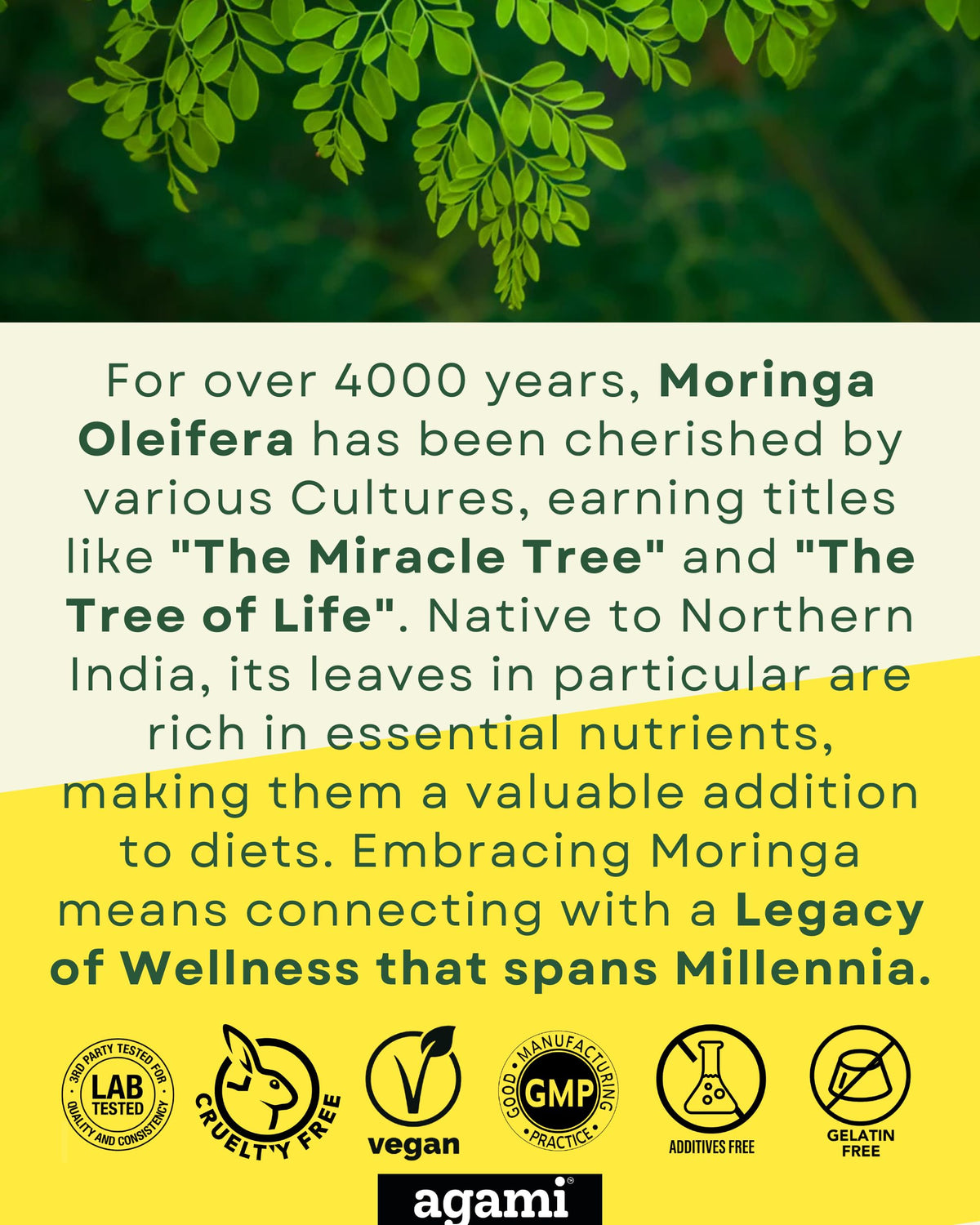 Moringa Capsules 400mg 20:1 Extract 120 Capsules I48594