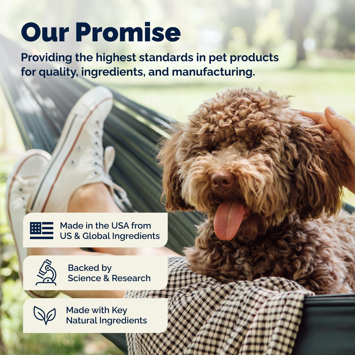 Medicated Cat & Dog Shampoo F702291