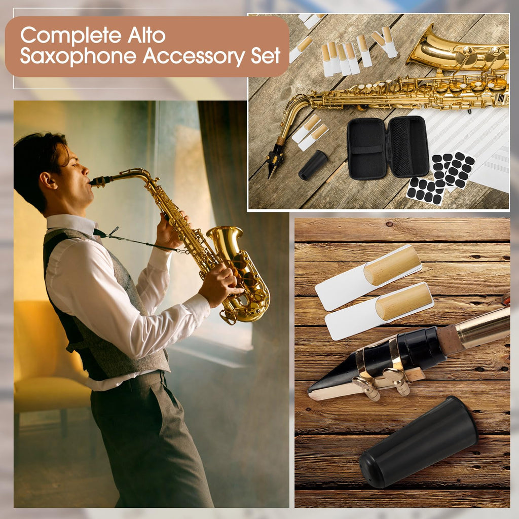 49 Pcs Alto Saxophone Replacement Kit with Mouthpiece Reeds Storage Case I637