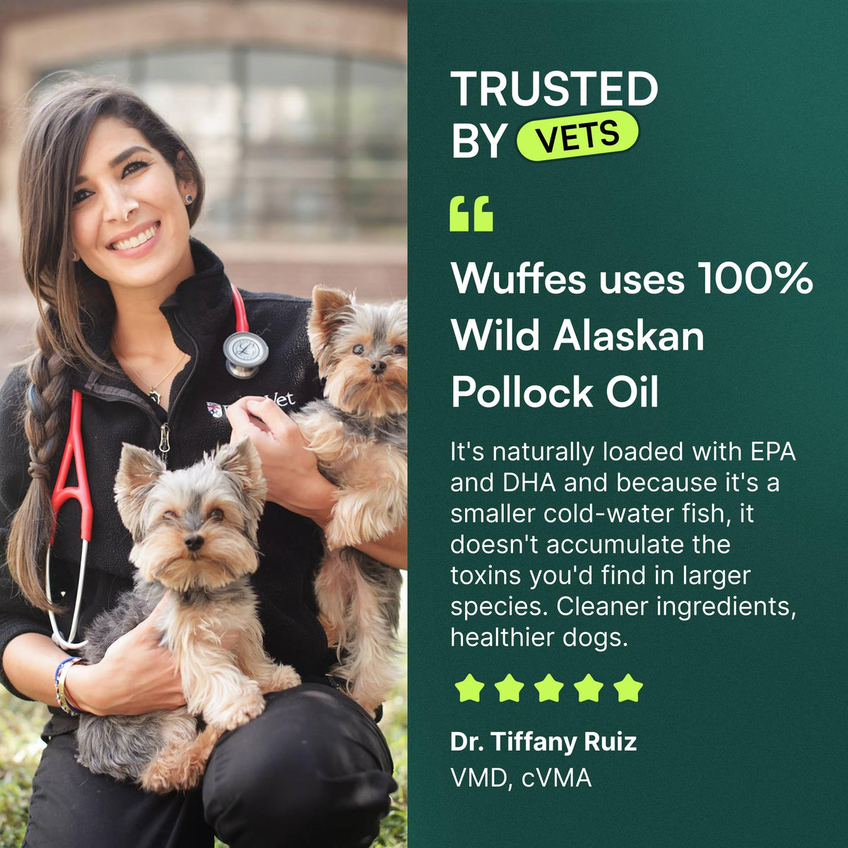 Omega-3 Fish Oil for Dogs, 16 oz Wild Alaskan Pollock Oil K727