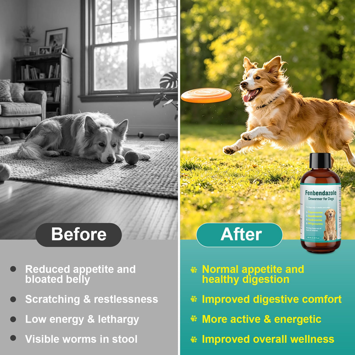 Dog Dewormer Liquid 100ml J41452