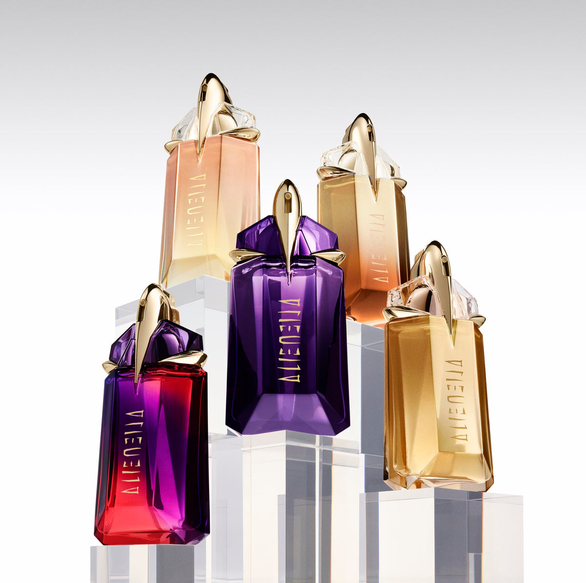 Floral Eau de Parfum X65273