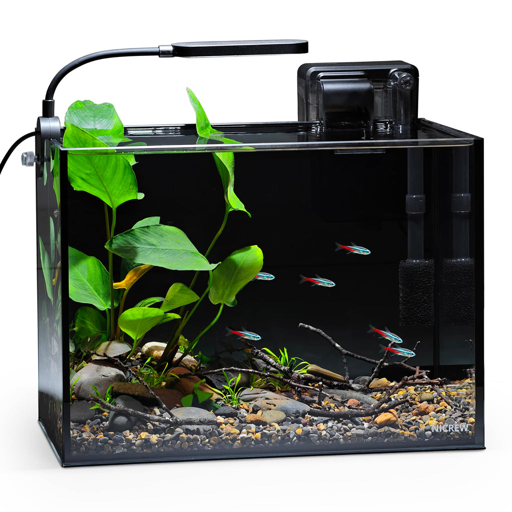2.5 Gallon Aquarium Kit S288021
