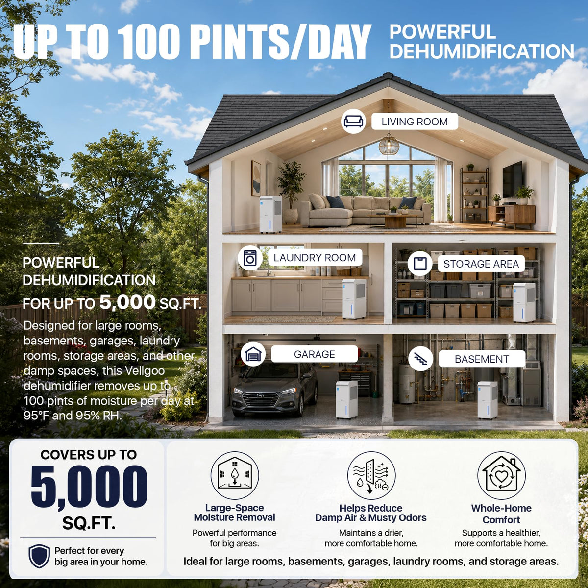 100 Pint/Day Dehumidifier Y61965