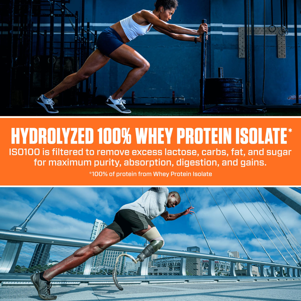 Whey Isolate Protein Powder Z154767