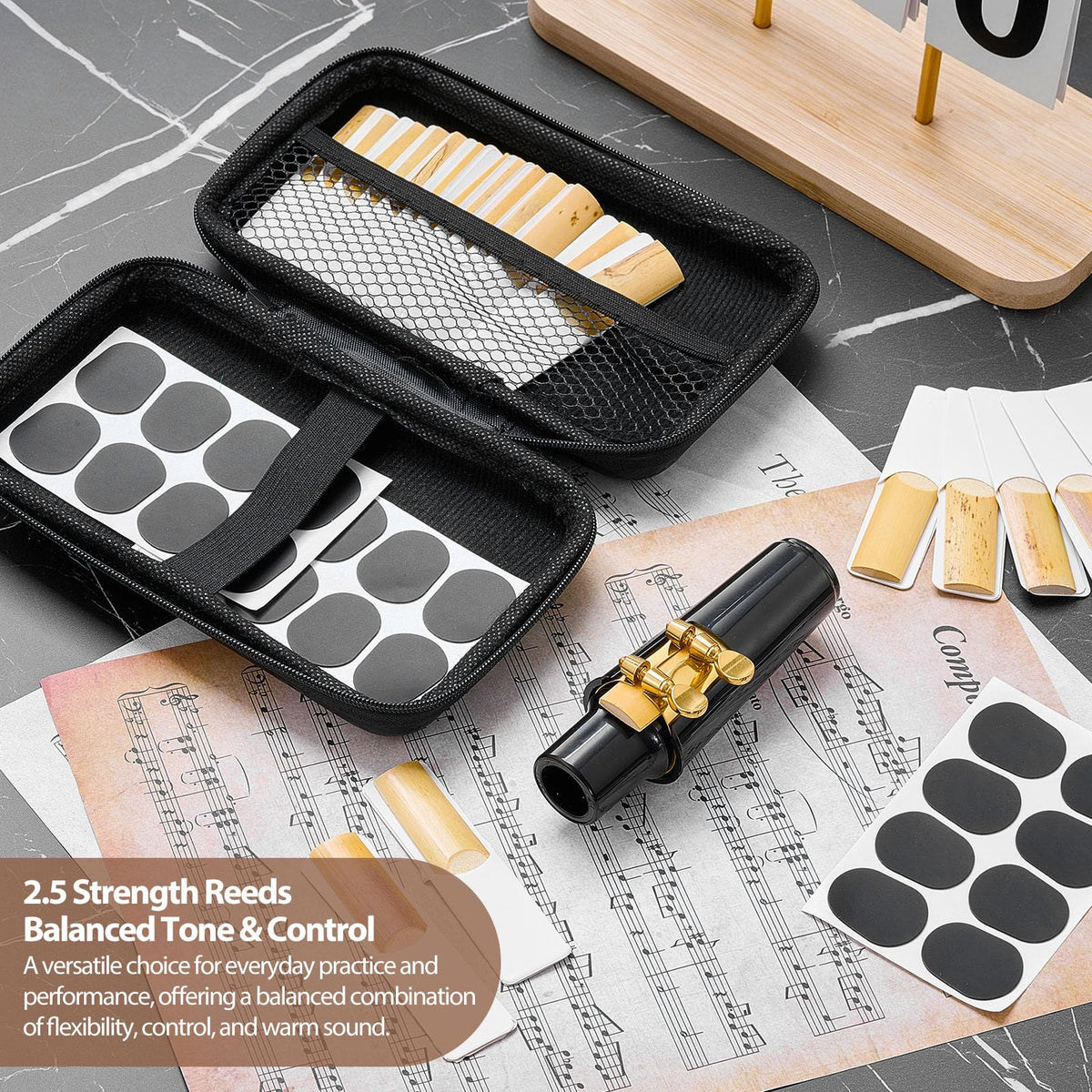 49 Pcs Alto Saxophone Replacement Kit with Mouthpiece Reeds Storage Case I637
