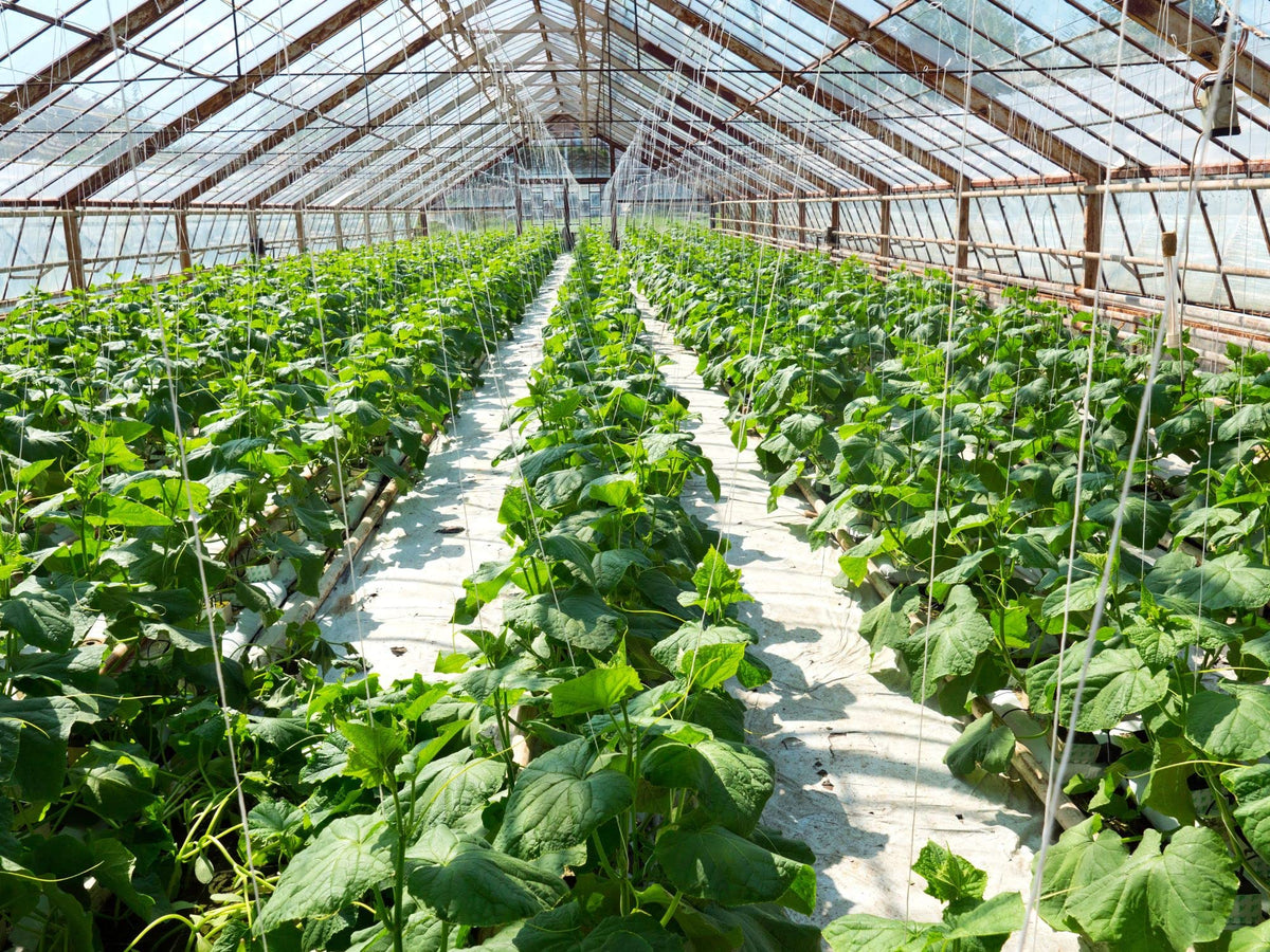 4 Cubic Foot Planting Soil Additive O448